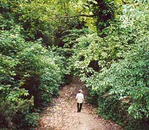 Romano goes along the path where  Romeo ran after having jumped down Juliet's balcony. Artena